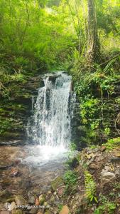 Φωτογραφία από το άλμπουμ του Hostal Ezkurra σε Ezkurra