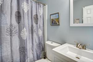 a bathroom with a sink and a shower curtain at Hampton Vacation Rental Central Location, Patio in Hampton +16 photos