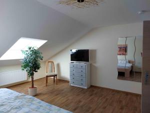a bedroom with a bed and a tv in a attic at Cebullas Ferienwohnung in Herzberg am Harz