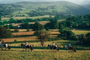 a group of people riding horses in a field at Lion Royal Hotel, Rhayader in Rhayader