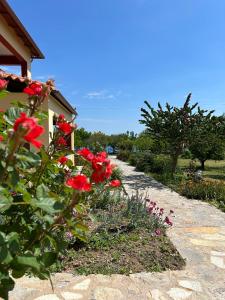 Zahrada ubytování Magda Hotel Apartments