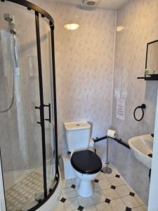 a bathroom with a toilet and a shower and a sink at St Quintin Arms in Harpham