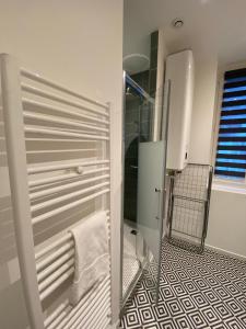 een badkamer met een douche, een toilet en een wastafel bij Cosy Appartement 48m Strasbourg Centre et Gare à Pied Proche Musée d Art Moderne Wifi 4 Personnes in Straatsburg
