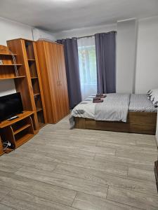 a bedroom with a bed and a tv in a room at La Bloc in Băile Herculane