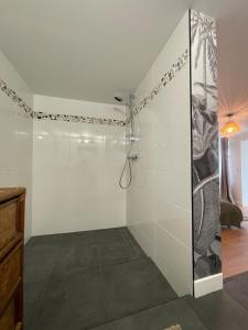 a shower with a glass door in a bathroom at Bienvenue à la maison in Saint-Florentin +19 photos