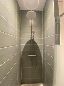 een badkamer met een douche met groene tegels bij Cosy Appartement 48m Strasbourg Centre et Gare à Pied Proche Musée d Art Moderne Wifi 4 Personnes in Straatsburg