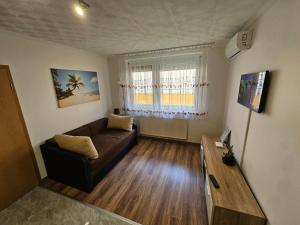 豪伊杜索博斯洛Fischer Apartman 2的客厅里有一张沙发和一张桌子。