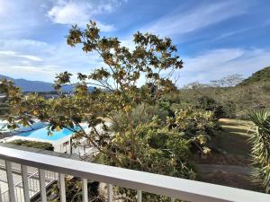 a view from the balcony of a house with a tree at SAINT-FLORENT Studio 2 pers PISCINE FLO139 in Saint-Florent