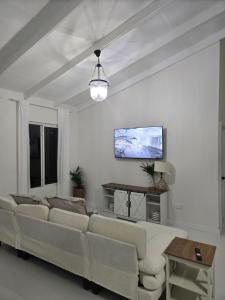 卡斯特里Jean Olive的客厅里有一张沙发，墙上有一台电视