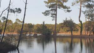 Paesaggio naturale nelle vicinanze della casa vacanze