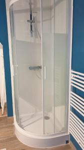 una doccia con una porta in vetro in un bagno di Le Gîte du Lac d'Hostens a Hostens