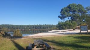 un tavolo da picnic sull'erba vicino a un lago di Le Gîte du Lac d'Hostens a Hostens
