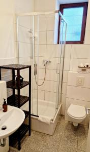 ein Badezimmer mit Dusche, Toilette und Waschbecken in der Unterkunft Stylish & Cosy Apartment in Berlin, WiFi in Berlin
