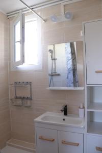 a bathroom with a sink and a mirror and a shower at Le Luz Charmant T3 in Valence