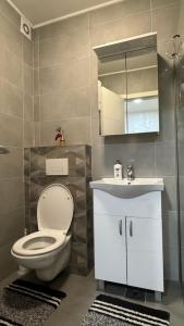 a bathroom with a toilet and a sink and a mirror at Apartment ANDI Istocno Sarajevo in Lukavica