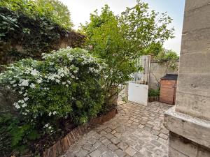 a garden with white flowers and a fence at La maison du 18 in Chantilly