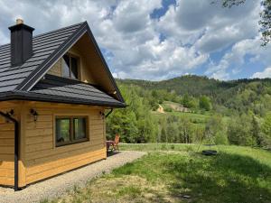 a cabin with a view of the mountains at Chata na Wzgórzu in Ochotnica Dolna