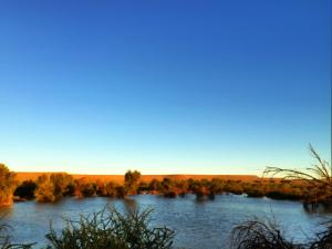 Billede fra billedgalleriet på Burgsdorf Guest Farm i Maltahöhe