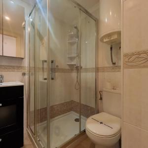a bathroom with a toilet and a glass shower at Terrasol Estudios Plazamar in Torre del Mar