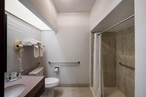 a bathroom with a shower and a toilet and a sink at Quality Inn & Suites Irving DFW Airport South in Irving