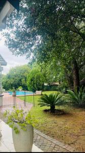 Κήπος έξω από το Bok Garden Studio in Fourways