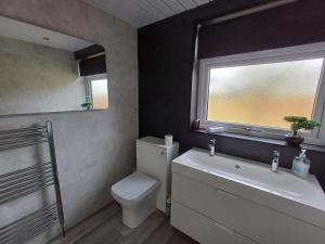 a bathroom with a toilet and a sink and a window at Modern flat in quiet residential cul-de-sac in Kilwinning +12 photos