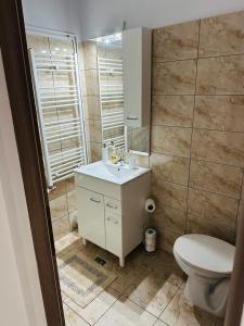 a bathroom with a white toilet and a sink at Casuta de pe Eminescu in Oraviţa