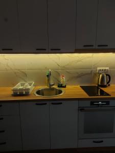 Kuchyňa alebo kuchynka v ubytovaní Apartman Davidovic MD 1 Divcibare