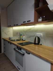 Kuchyňa alebo kuchynka v ubytovaní Apartman Davidovic MD 1 Divcibare