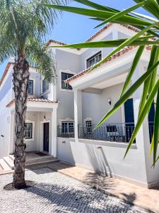a palm tree in front of a white house at Silver Globe in Albufeira