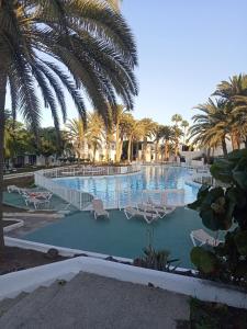 a large swimming pool with chairs and palm trees at Alojamientos Playa Centro Corralejo 1 in Corralejo
