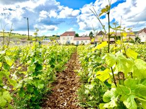 Zahrada ubytování Hotel Les Rêveries du CLOS derrière St Jean Vignes &Spa
