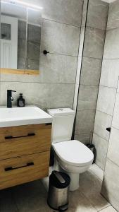 a bathroom with a toilet and a sink and a mirror at Villaggio View in Kariá