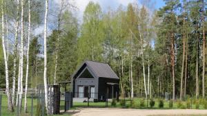 a small black house in the middle of a forest at Seaside & Forest Hideaway in Ķesterciems