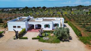 an aerial view of a white house in a vineyard at Agriturismo Agricola Cassiano in Morciano di Leuca +20 photos