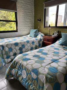 une chambre d'hôtel avec deux lits et deux fenêtres dans l'établissement Pehuen Apartment, à Trelew 9 autres photos