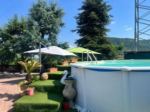 a swimming pool with a swan in a yard at La perla del Garda in Costermano