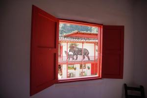 Fotografija v galeriji nastanitve La Oculta Hostal v mestu Jericó