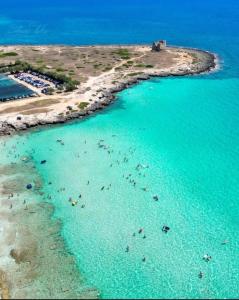 un gruppo di persone in acqua su una spiaggia di La Casa sul Corso a Talsano