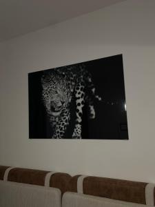 Gallery image of Apartman Mišić Zlatibor in Zlatibor