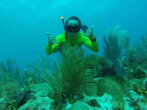 un hombre con una máscara de snorkel dando pulgares sobre un arrecife en Yellow Bird Apartment, en Christ Church