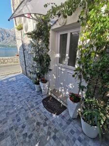 Paesaggio naturale nelle vicinanze dell'appartamento
