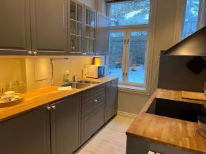a kitchen with gray cabinets and a sink and a window at Staymate 15 minutes from Barcode in Oslo