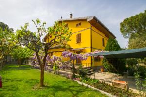 żółty dom z drzewem na podwórku w obiekcie B&B I Narcisi w mieście Spello