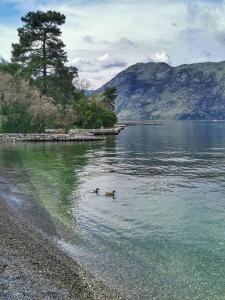 Paesaggio naturale nelle vicinanze dell'appartamento