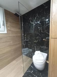 a bathroom with a toilet and a glass shower at Obassys View in Faraklata +16 photos