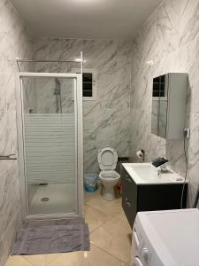 a bathroom with a shower and a toilet and a sink at Residence Mont Vernon II - B in Cul de Sac