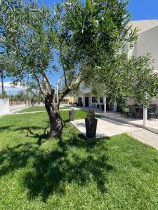 Fotografie z fotogalerie ubytování Villa Rodelia v destinaci Roda + 54 fotografií