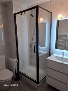 卡诺海滩Grand studio vue mer的带淋浴、马桶和水槽的浴室