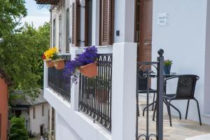 a balcony with potted flowers and a chair at Veronica's House in Zagora +16 photos